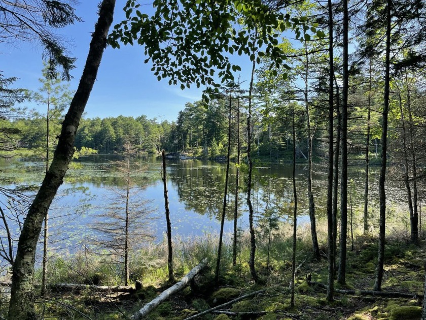 Exceptional shorefront parcel on peaceful Little Echo Lake. With - Beach Acreage for sale in Mount Desert, Maine on Beachhouse.com