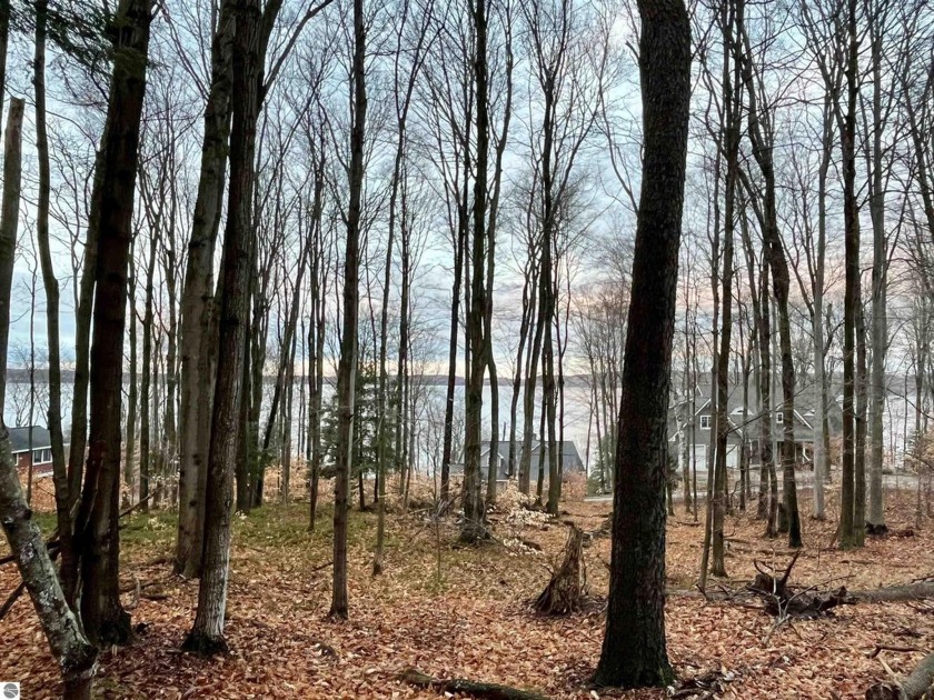 *Up North* is defined by this property.  Escape to this serene - Beach Lot for sale in Frankfort, Michigan on Beachhouse.com