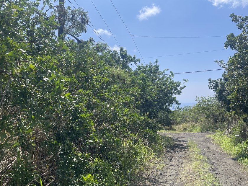 Buildable Corner Lot with Ocean Views in Mark Twain Estates, the - Beach Lot for sale in Naalehu, Hawaii on Beachhouse.com