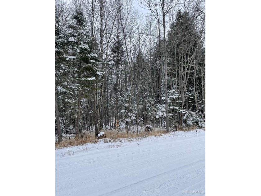 If you're looking for some land with privacy yet close to town - Beach Acreage for sale in Marquette, Michigan on Beachhouse.com