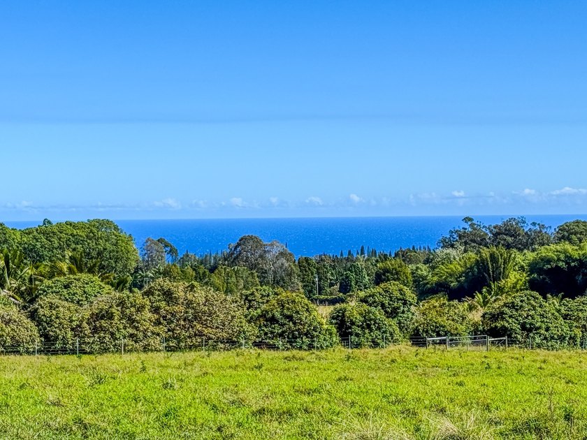 Rare small-acreage lot on the Hamakua Coast with ocean views - Beach Lot for sale in Hakalau, Hawaii on Beachhouse.com