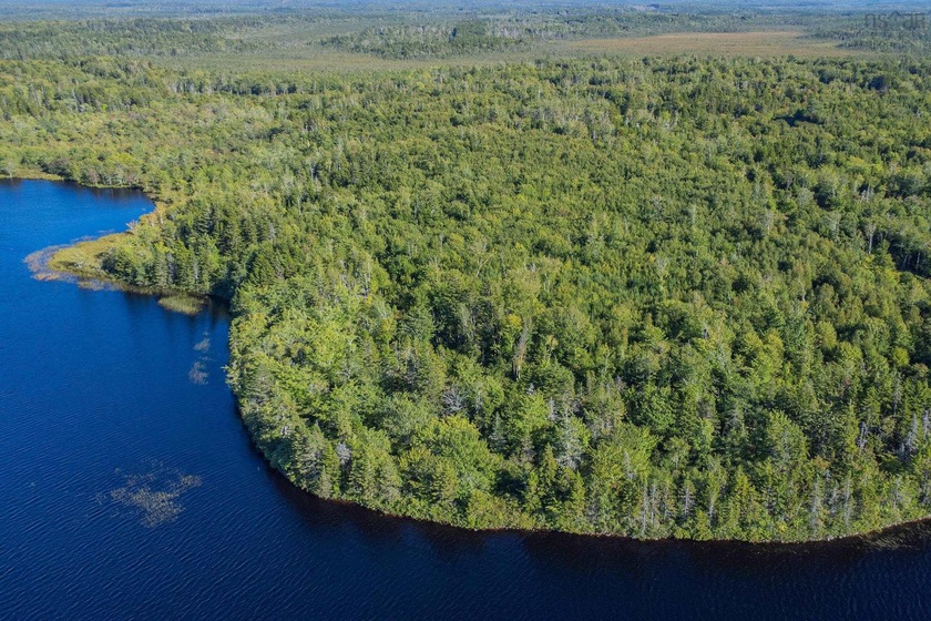 9.5-acre lakefront lot with southwest exposure, offering - Beach Acreage for sale in Mayflower,  on Beachhouse.com