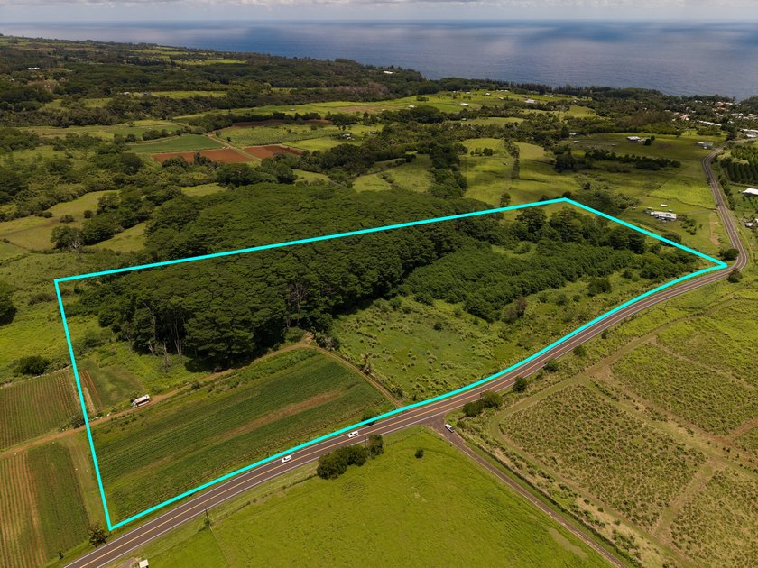 23.11 Acres of Fertile Land Near Akaka Falls This 23.11 acre - Beach Acreage for sale in Honomu, Hawaii on Beachhouse.com