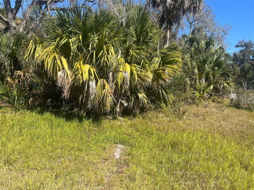 Ready to build your dream home? This lot is located in the - Beach Lot for sale in Port Charlotte, Florida on Beachhouse.com