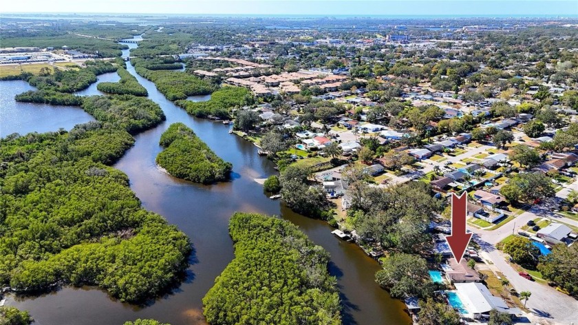 Waterfront investment opportunity in unincorporated Seminole - Beach Home for sale in Seminole, Florida on Beachhouse.com