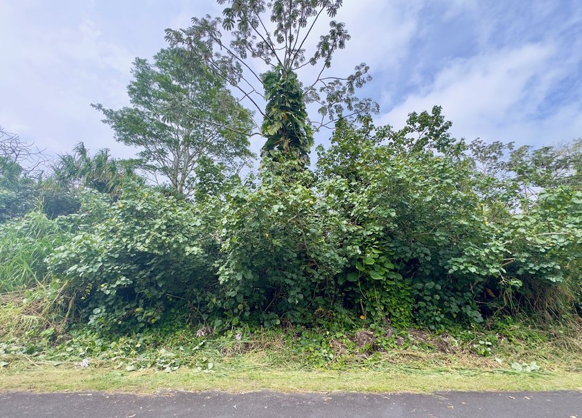 Opportunity awaits on this lot in Hawaiian Beaches! Enjoy paved - Beach Lot for sale in Pahoa, Hawaii on Beachhouse.com