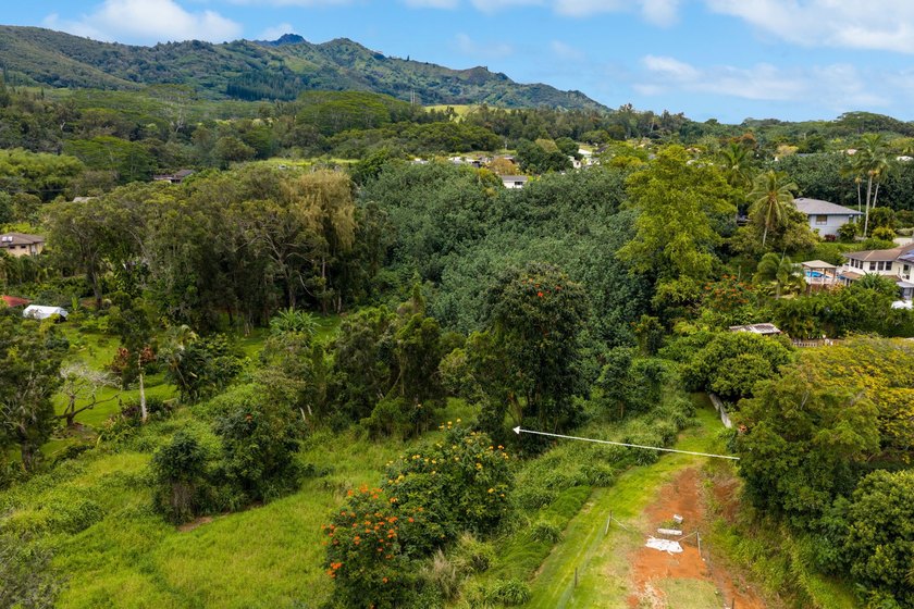 Approximately 2 acres of land zoned Open, ideal for agricultural - Beach Acreage for sale in Koloa, Hawaii on Beachhouse.com