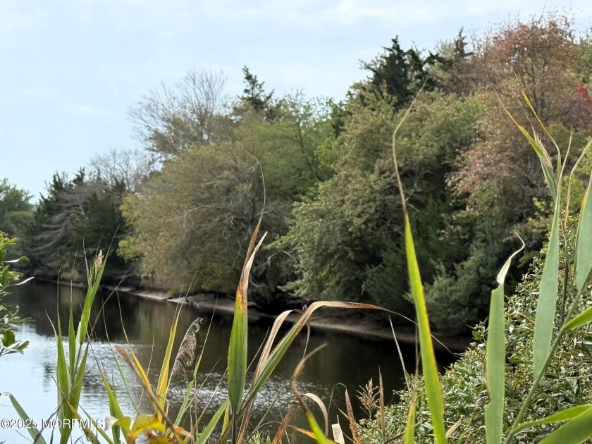 Beautiful Waterfront location of WATERFRONT Wooded lot on a - Beach Commercial for sale in Little Egg Harbor, New Jersey on Beachhouse.com