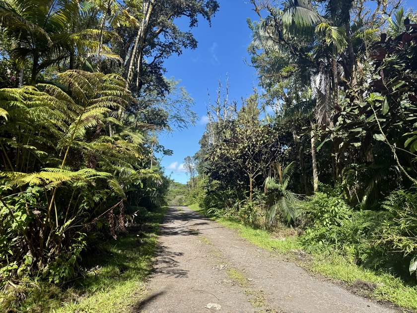 Tucked away in the lush upcountry community of Ola'a Reservation - Beach Acreage for sale in Mountain View, Hawaii on Beachhouse.com