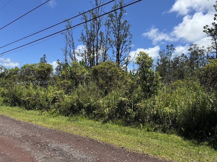 Now is the perfect time to invest in this this quarter acre - Beach Lot for sale in Pahoa, Hawaii on Beachhouse.com