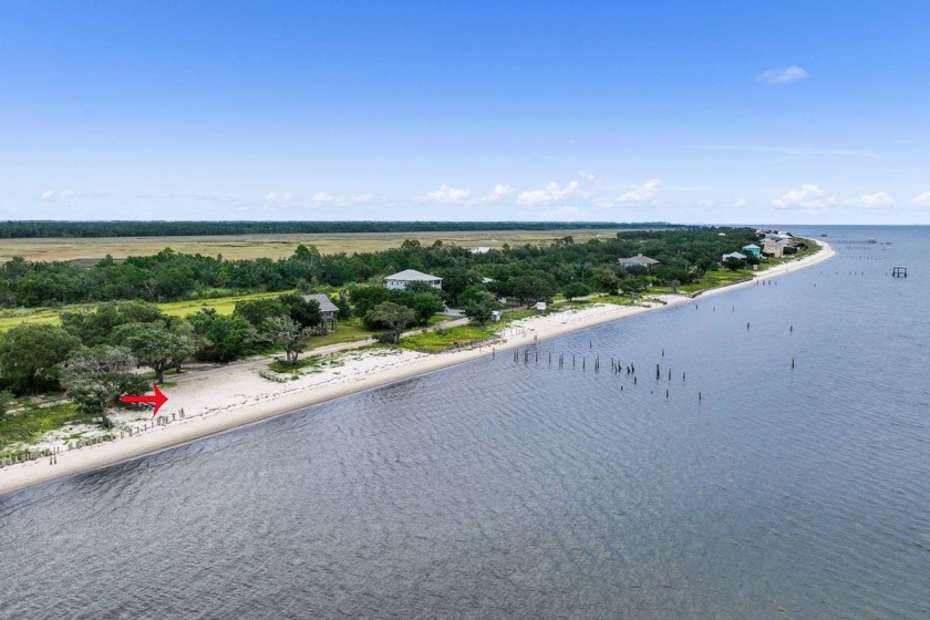 Seller says Make Offer: Two of the most beautiful lots available - Beach Lot for sale in Ocean Springs, Mississippi on Beachhouse.com