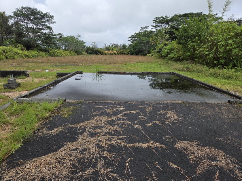 Here's your chance to own an improved acre on pavement in - Beach Lot for sale in Pahoa, Hawaii on Beachhouse.com