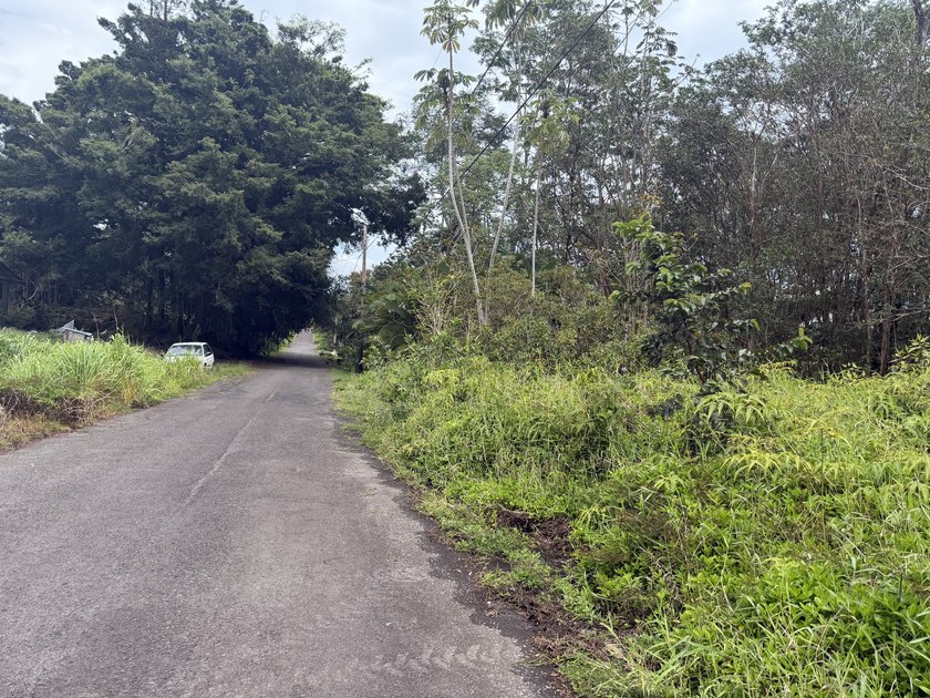 Good lot on Sandalwood, Paved road and electricpare with Ainaloa - Beach Lot for sale in Kurtistown, Hawaii on Beachhouse.com