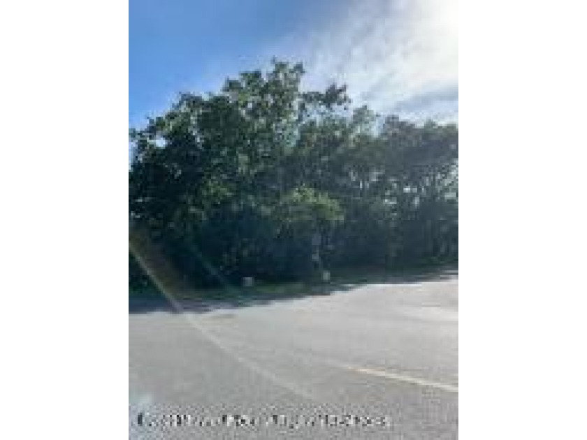 Beautiful, buildable wooded lot 50 x 125.  Prestigeous Pine - Beach Lot for sale in Pine Beach, New Jersey on Beachhouse.com