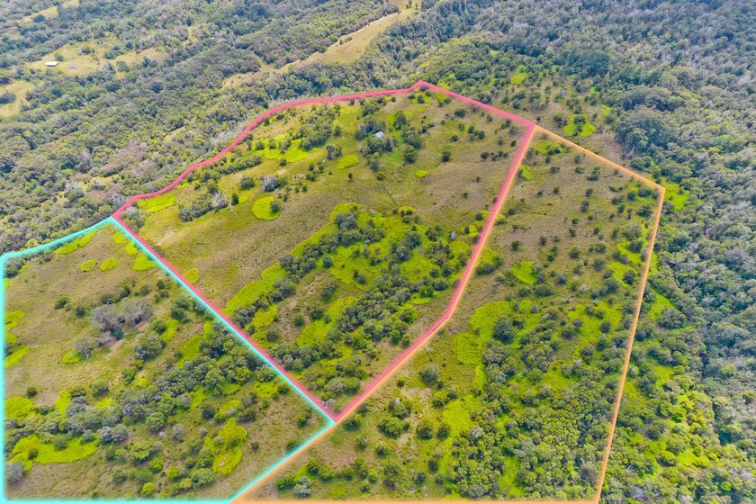 If all four parcels are purchased together, it comes out to be - Beach Acreage for sale in Laupahoehoe, Hawaii on Beachhouse.com