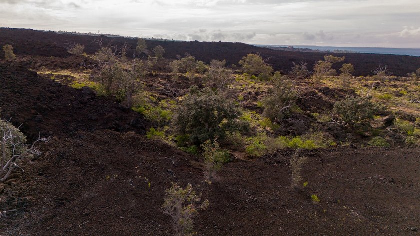Discover the opportunity to own 3 acres in the gated community - Beach Acreage for sale in Ocean View, Hawaii on Beachhouse.com