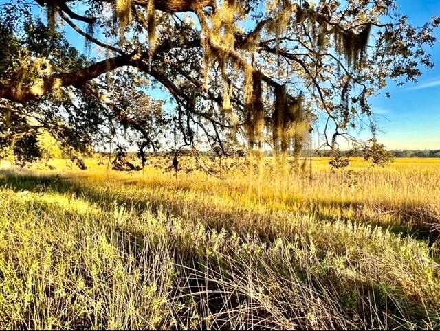 MUST SEE. This is a rare opportunity to build your custom home - Beach Lot for sale in Seabrook, South Carolina on Beachhouse.com