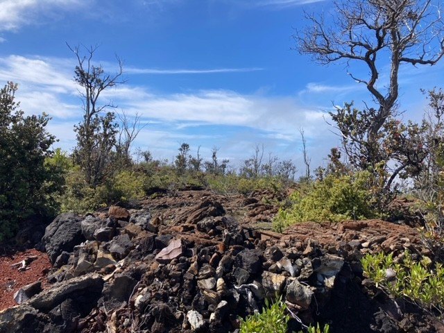 Hawaiian Ocean View Estates - nicely forested ribbon lot (89 ft - Beach Lot for sale in Ocean View, Hawaii on Beachhouse.com