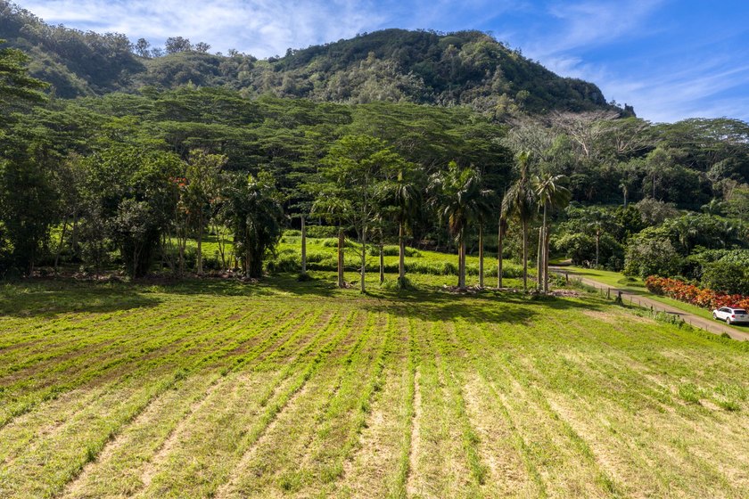 Stunning 5 acres of land in Wailua Homesteads with dynamic - Beach Acreage for sale in Kapaa, Hawaii on Beachhouse.com