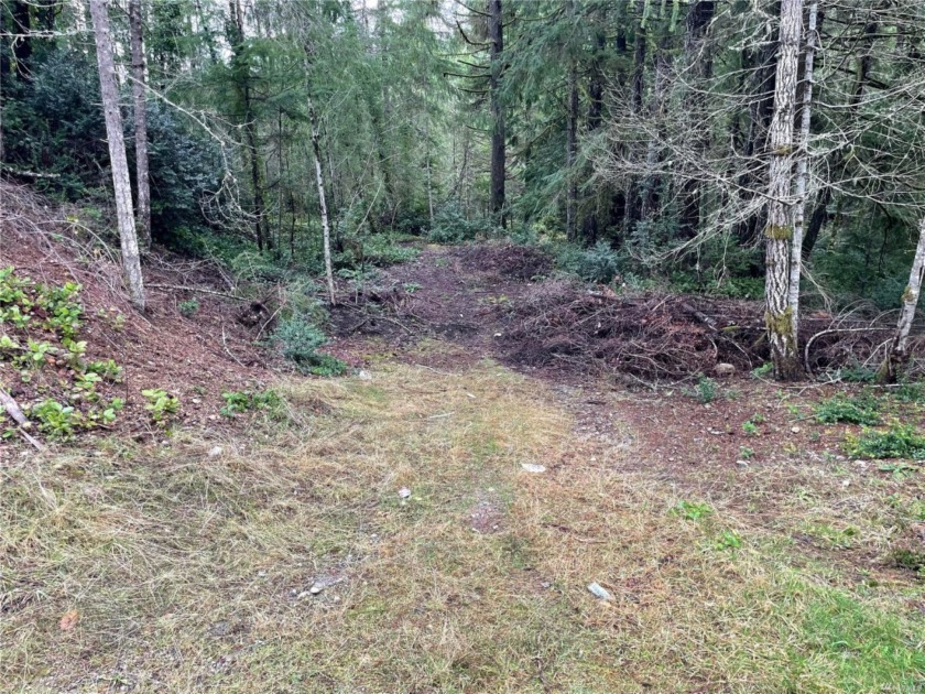 Mature trees and lovely area for your RV or recreational site - Beach Lot for sale in Shelton, Washington on Beachhouse.com