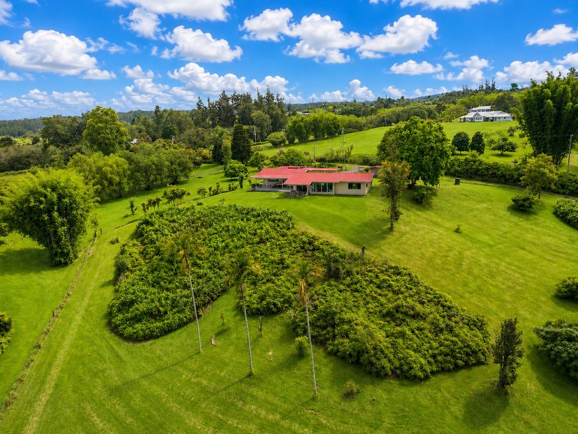 There's a reason people who know Hilo know Kaiwiki. It's the - Beach Home for sale in Hilo, Hawaii on Beachhouse.com