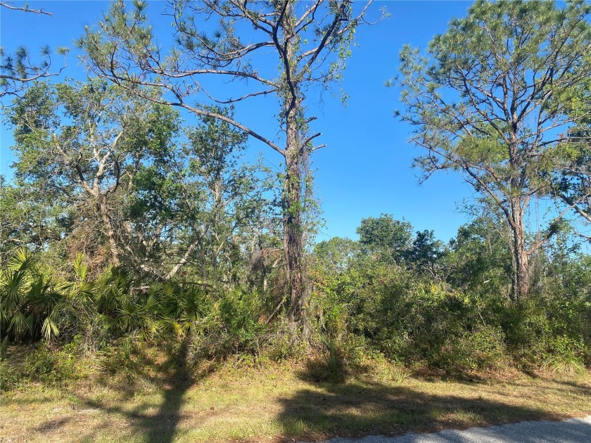 Wanting to build your dream home? Look no further! This lot is - Beach Lot for sale in Port Charlotte, Florida on Beachhouse.com