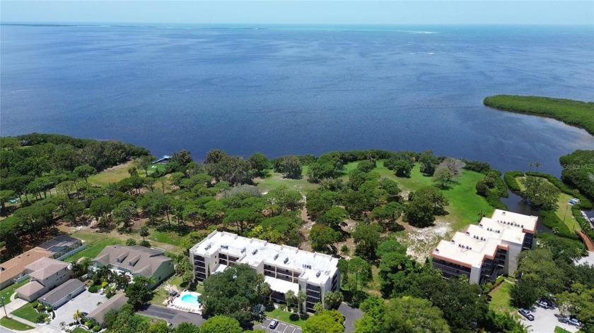 Escape to your dream coastal retreat! This stunning property - Beach Condo for sale in Tarpon Springs, Florida on Beachhouse.com