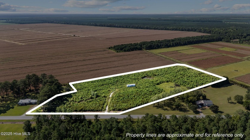 Here is an amazing residential & land investment opportunity for - Beach Home for sale in Bayboro, North Carolina on Beachhouse.com