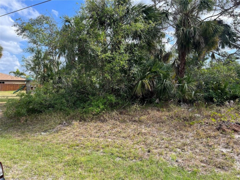 So many options!!! Nice lot in North Port with mature - Beach Lot for sale in North Port, Florida on Beachhouse.com