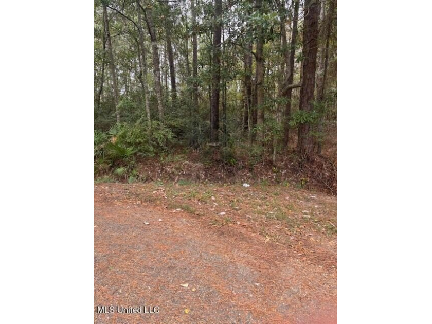 Currently zoned A-1 Agriculture but should be easy to re-zone - Beach Acreage for sale in Gulfport, Mississippi on Beachhouse.com