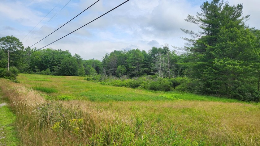 Beautiful  3 acre sunny meadow full of blueberries and - Beach Acreage for sale in Woolwich, Maine on Beachhouse.com