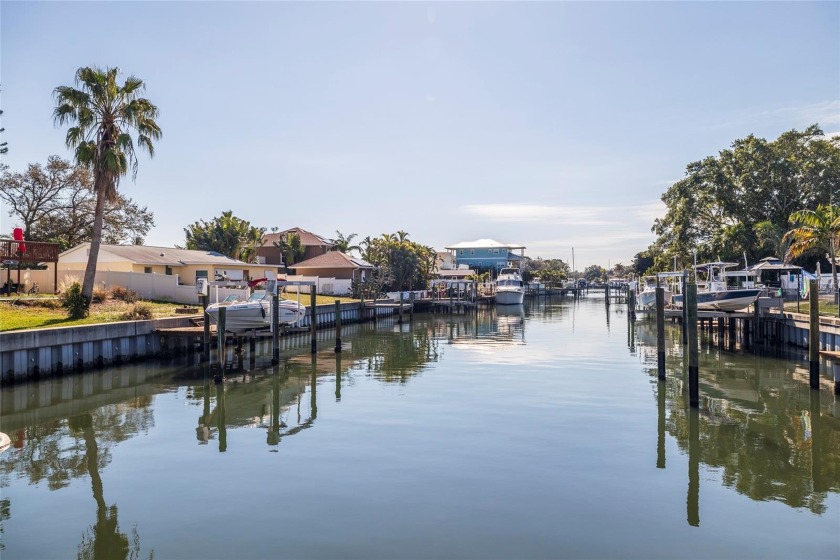 Live the Florida waterfront lifestyle in this boater's paradise - Beach Home for sale in St. Petersburg, Florida on Beachhouse.com