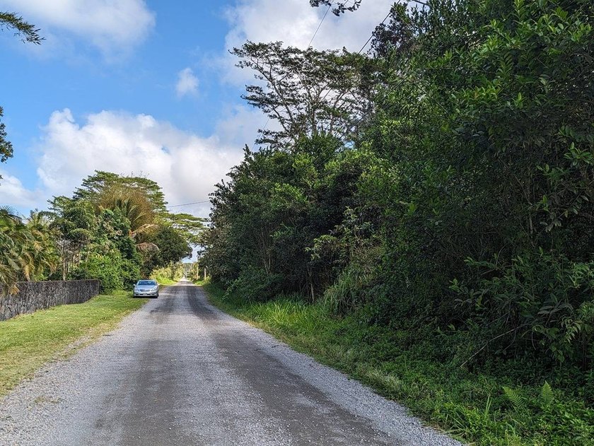 Discover your slice of paradise! Nestled near the stunning - Beach Lot for sale in Keaau, Hawaii on Beachhouse.com