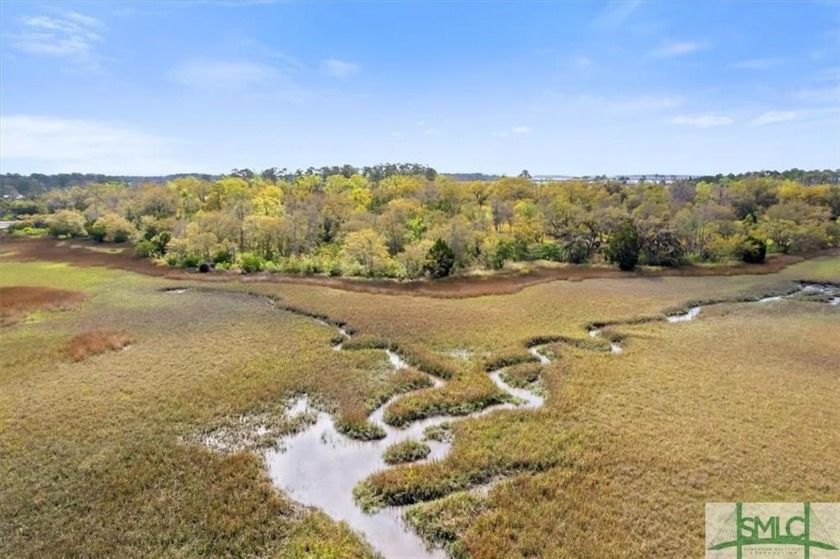 Marsh front Lot 8 - 1.51 acres of Coastal Living at its finest - Beach Lot for sale in Midway, Georgia on Beachhouse.com