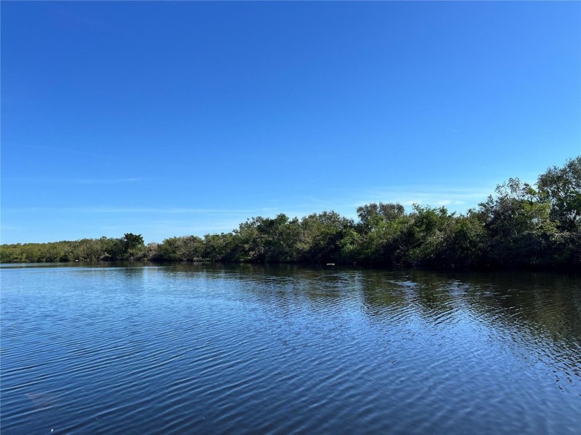 This 2 bedroom 2 bath Waterfront home is move in ready and has - Beach Home for sale in St. Petersburg, Florida on Beachhouse.com