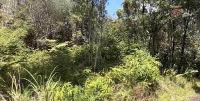 12,005 sq. ft. vacant lot in upper Mountain View. Lightly - Beach Lot for sale in Mountain View, Hawaii on Beachhouse.com