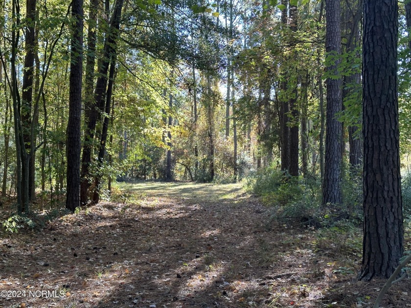 4 acre wooded vacant land with cleared homesite to build your - Beach Acreage for sale in Bath, North Carolina on Beachhouse.com