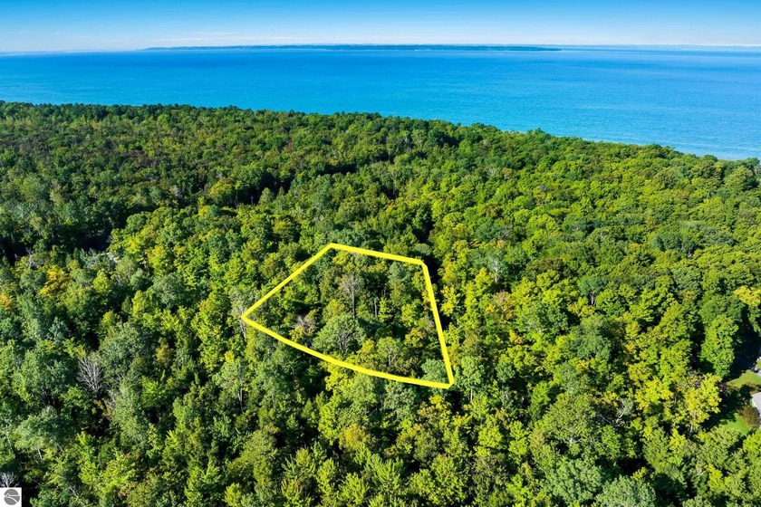 Gorgeous fully wooded flat building site walking distance to - Beach Lot for sale in Kewadin, Michigan on Beachhouse.com
