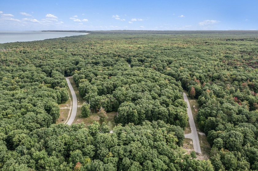 Wooded building site located between Silver Lake and Pentwater - Beach Lot for sale in Mears, Michigan on Beachhouse.com