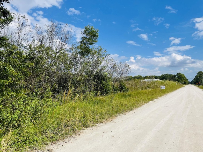 Build your dream home in this secluded neighborhood --- No HOA - Beach Lot for sale in West Palm Beach, Florida on Beachhouse.com