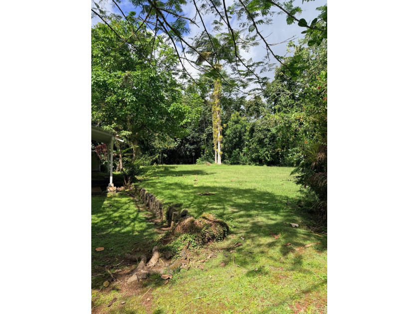 Cleared, grassy vacant lot to be sold with MLS 729751 and MLS - Beach Lot for sale in Pahoa, Hawaii on Beachhouse.com