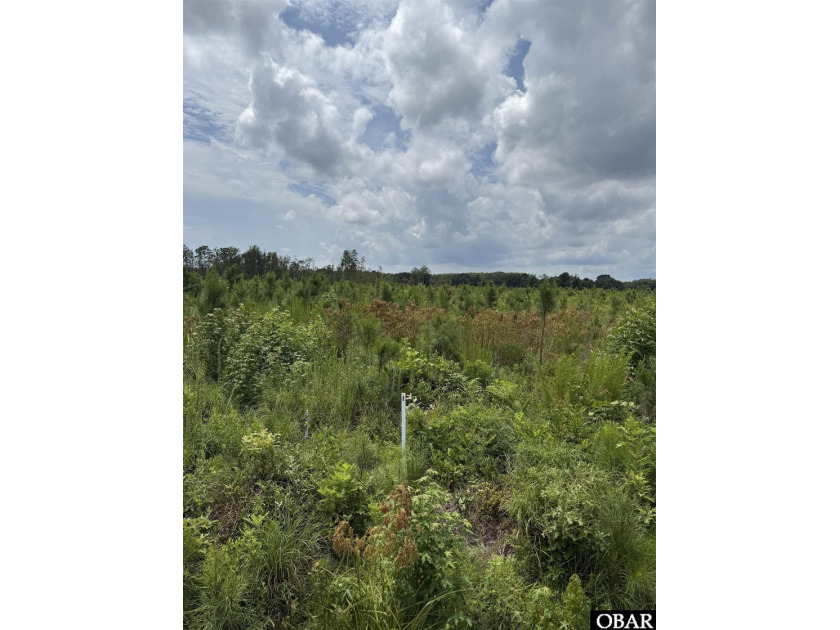 1 acre lot located on a dead-end street in the New Hope area. No - Beach Lot for sale in New Hope, North Carolina on Beachhouse.com