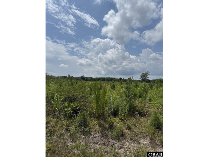 1 acre lot located on a dead-end street in the New Hope area. No - Beach Lot for sale in New Hope, North Carolina on Beachhouse.com