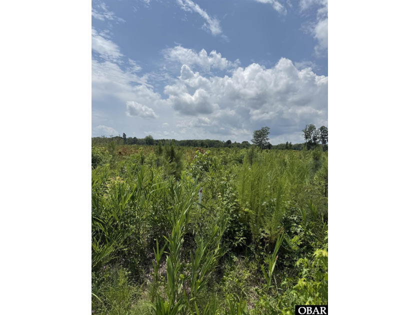 1 acre lot located on a dead-end street in the New Hope area. No - Beach Lot for sale in New Hope, North Carolina on Beachhouse.com