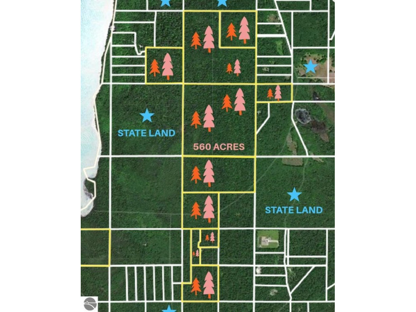 Over 560 acres of sprawling woodlands await your investment or - Beach Acreage for sale in Beaver Island, Michigan on Beachhouse.com