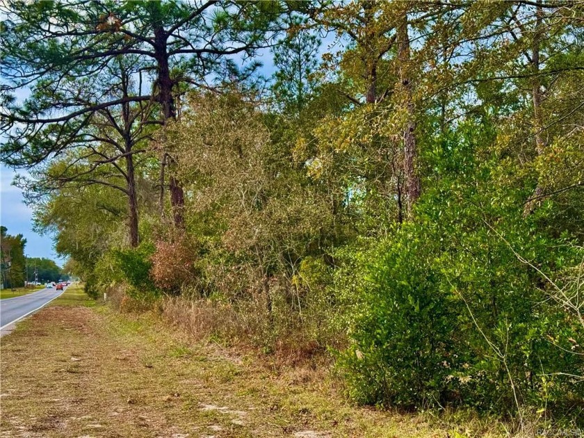 Come build your dream home on this half acre lot in Homosassa - Beach Lot for sale in Homosassa, Florida on Beachhouse.com