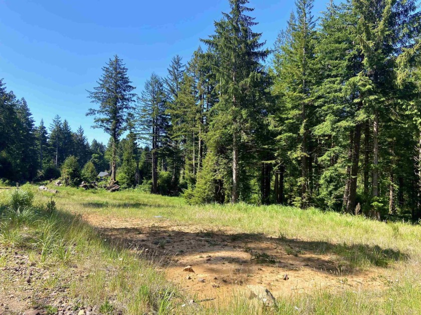 Build your new home on two beautiful, sunny acres. This newly - Beach Lot for sale in Crescent City, California on Beachhouse.com