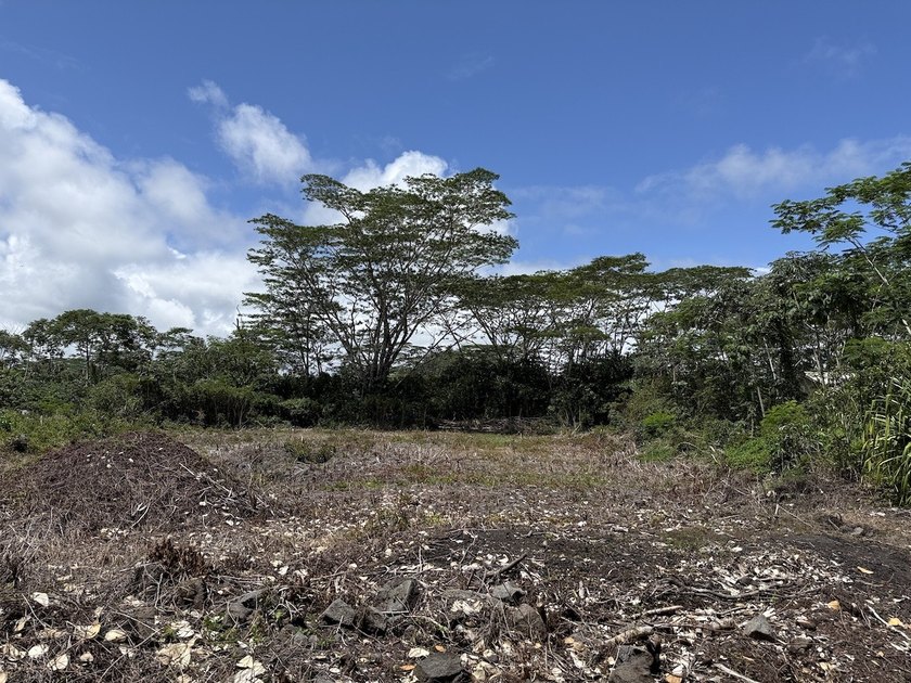 Seller financing available on this previously bulldozed and - Beach Lot for sale in Keaau, Hawaii on Beachhouse.com