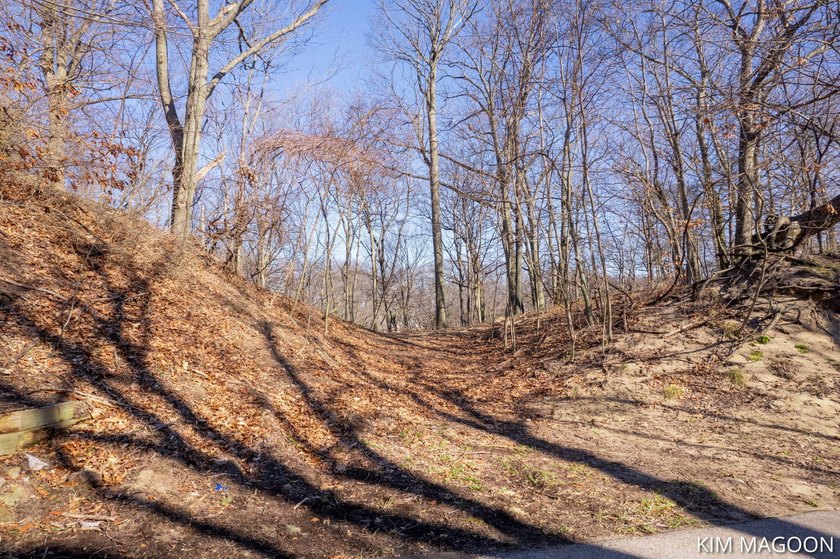 Beautiful wooded lot in desirable Scenic Shores on the south - Beach Lot for sale in Holland, Michigan on Beachhouse.com