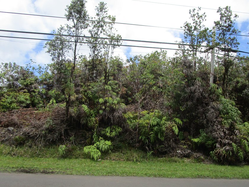 No survey - Beach Lot for sale in Mountain View, Hawaii on Beachhouse.com